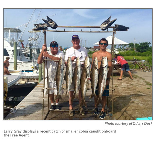 Outer Banks Angling: The weather's hot, and the fish are biting