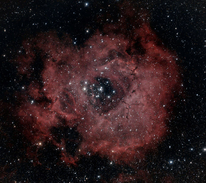 rosette nebula location