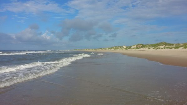  Ocracoke Island North Carolina Crab Beach Ocean Summer