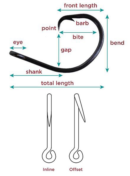 Circle hooks will be required for recreational shark fishing