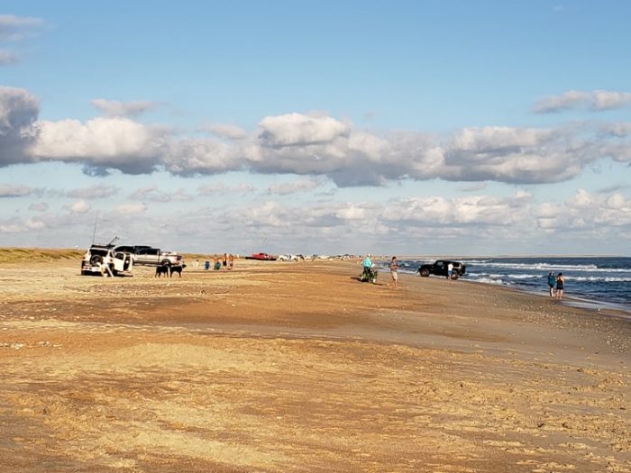 5 Things to Know About the Cape's National Seashore