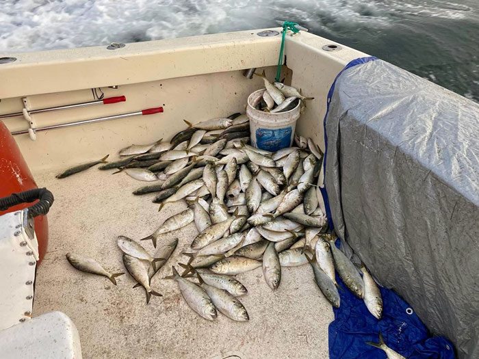 Island Fishing: Cold Weather Fishing on the Outer Banks