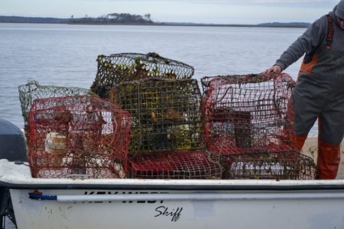 Annual lost fishing gear removal project begins