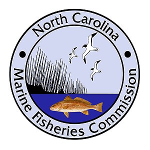 NC Marine Fisheries Commission tackles circle hooks through fishery  management plans, News