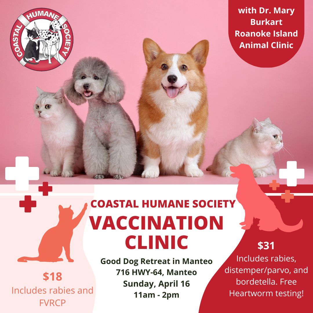 Island pet hot sale clinic