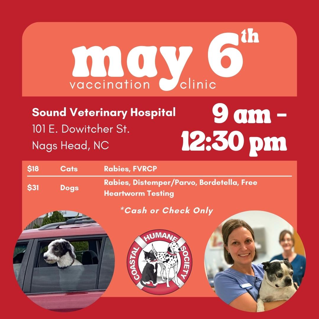 Vaccination clinic for pets will be held on Saturday, May 6 | Island ...