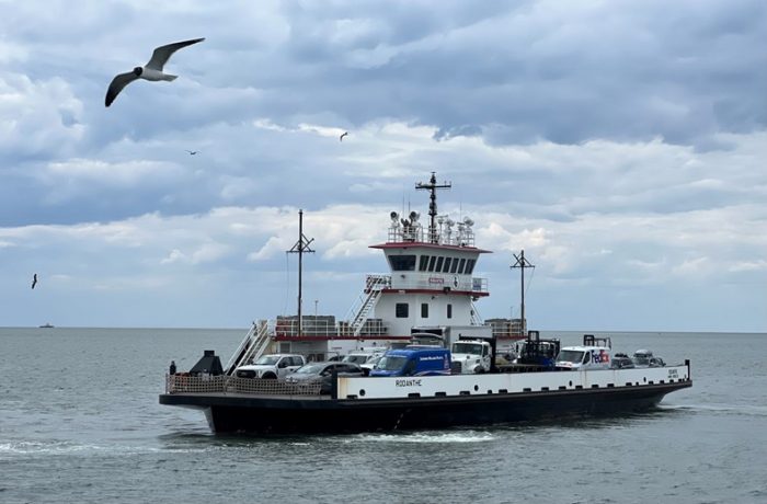 Fun day on the water aboard the AC - Angler Chronicles