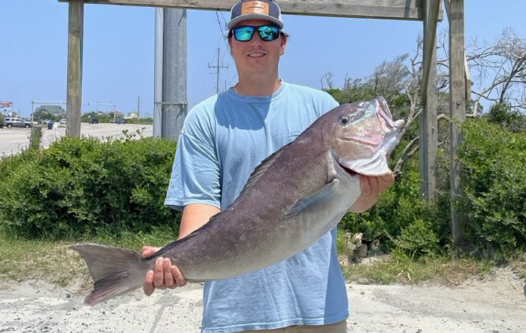 State certifies Blueline Tilefish as new North Carolina record