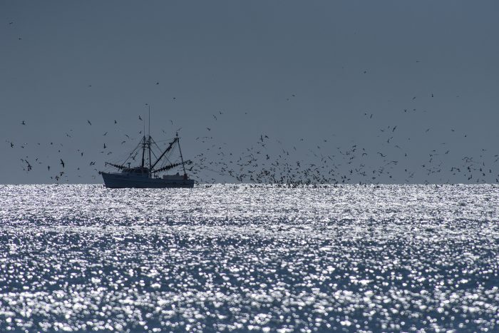 Court upholds that trawling doesn't violate Clean Water Act