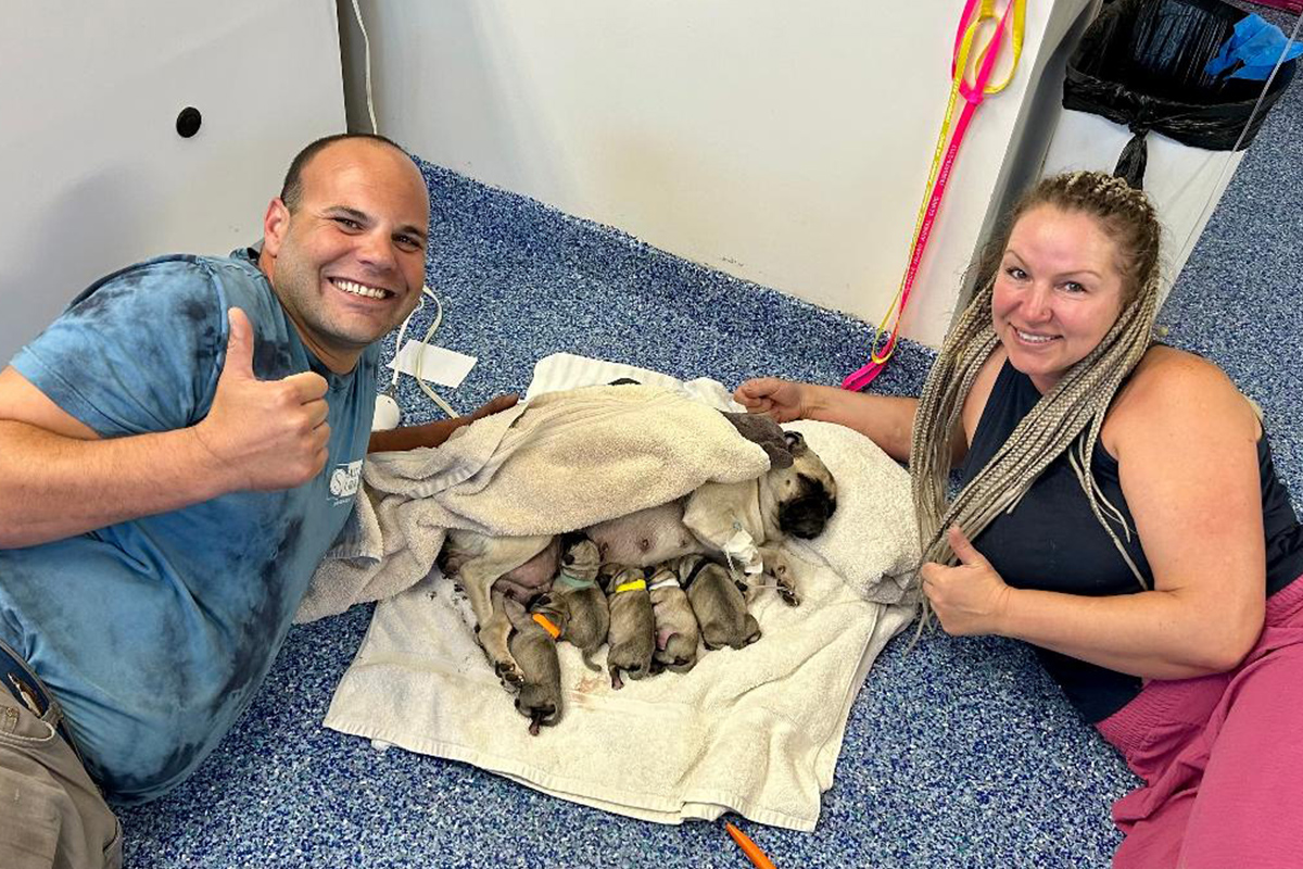 Roanoke-Island-Animal-Clinic-1