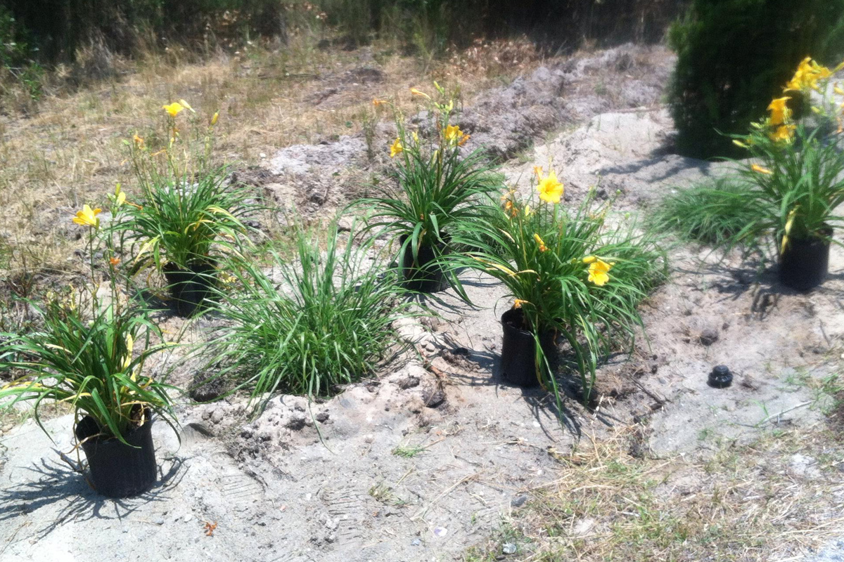Waters-Edge-Landscaping-1