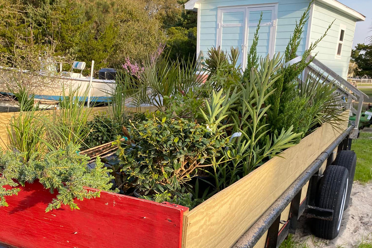 Waters-Edge-Landscaping-2
