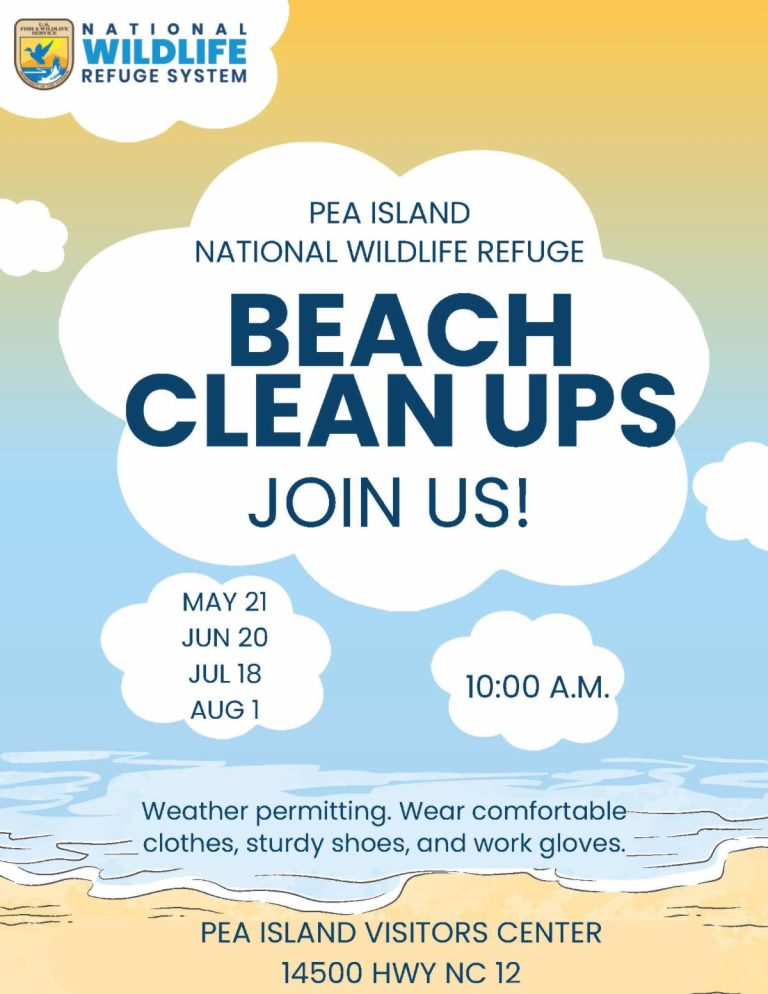 Next Pea Island National Wildlife Refuge beach cleanup scheduled for ...