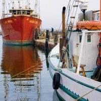 commercial fishing