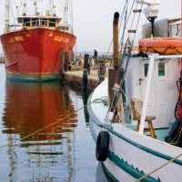 commercial fishing