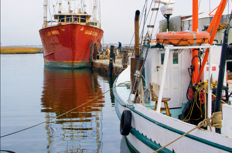 commercial fishing