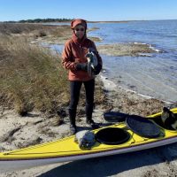 SEATURTLE-OCRACOKE1