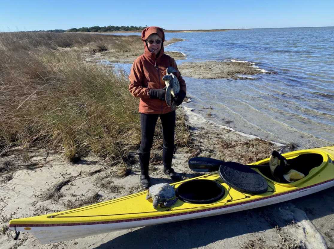 SEATURTLE-OCRACOKE1