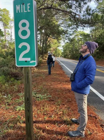 ocracoke bird count 3