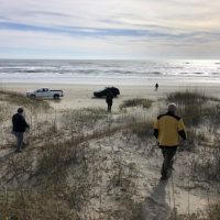 ocracoke bird count 8