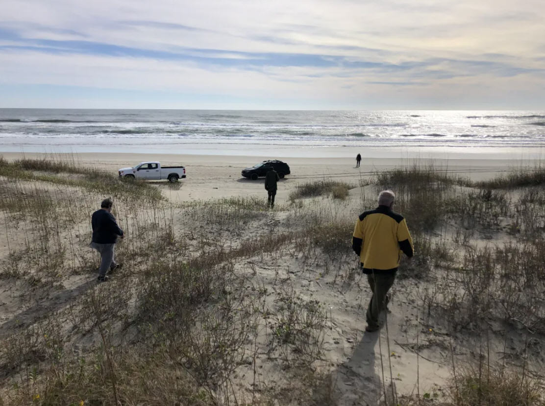 ocracoke bird count 8