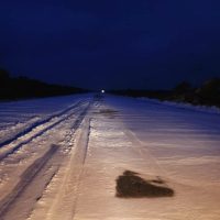 ocracoke snow2